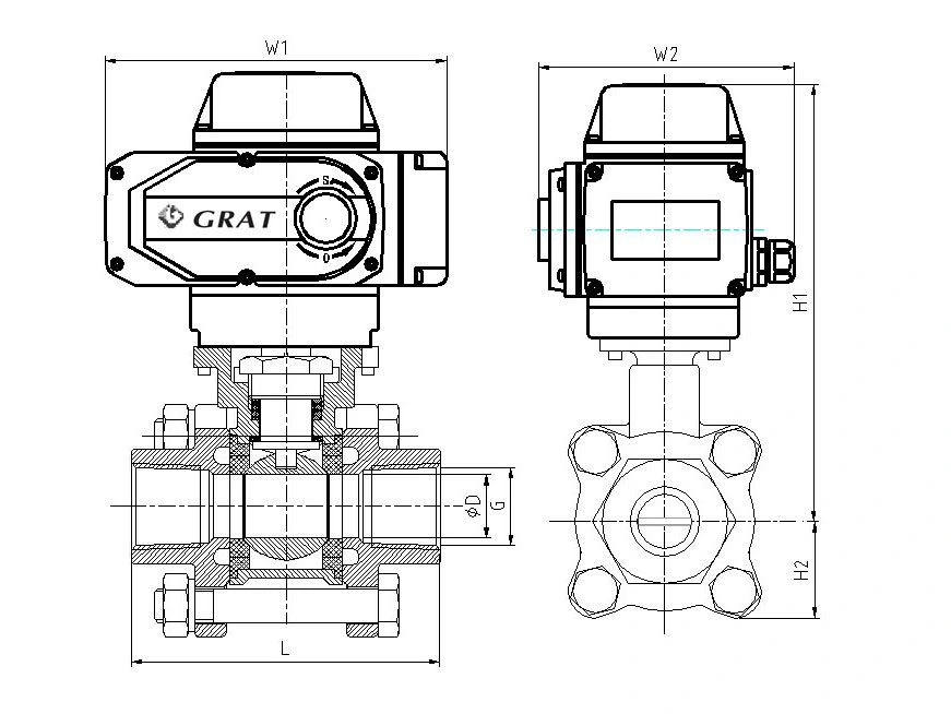 Connexion de fil d'acier inoxydable électrique à travers le type de mini-valve à bille 1
