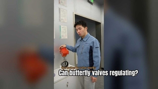 Une boule papillon peut-elle contrôler le débit - Valve antidéflagrante pour les zones dangereuses
